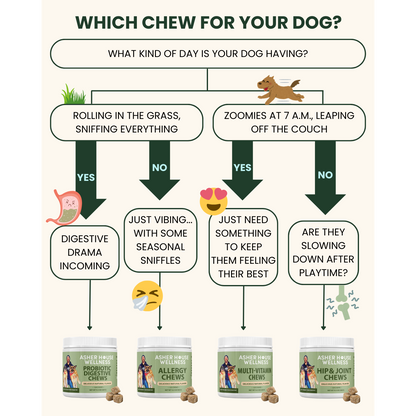 Multi-Vitamin Chews | Energy + Defense