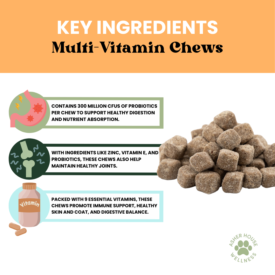 Multi-Vitamin Chews | Energy + Defense