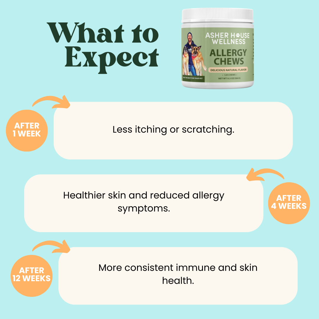 Allergy Chews | Soothe + Shield