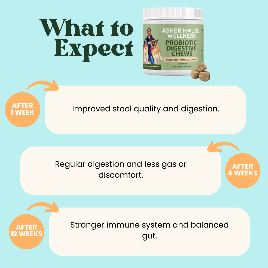 Probiotic Digestive Chews | Flora + Flourish