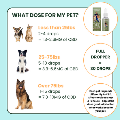 1000mg CBD Oil | Calm + Comfort - for Pets