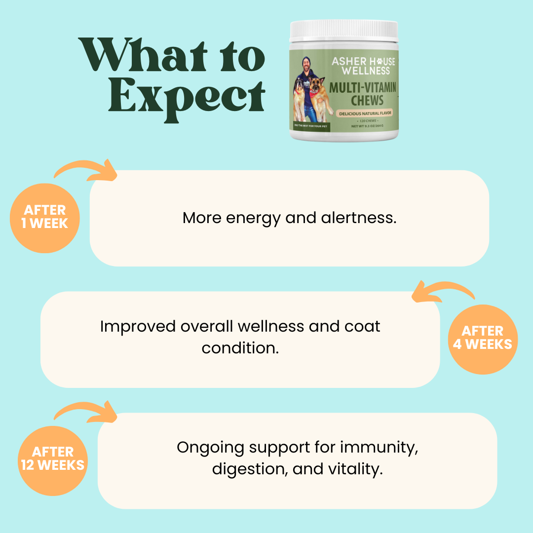 Multi-Vitamin Chews | Energy + Defense