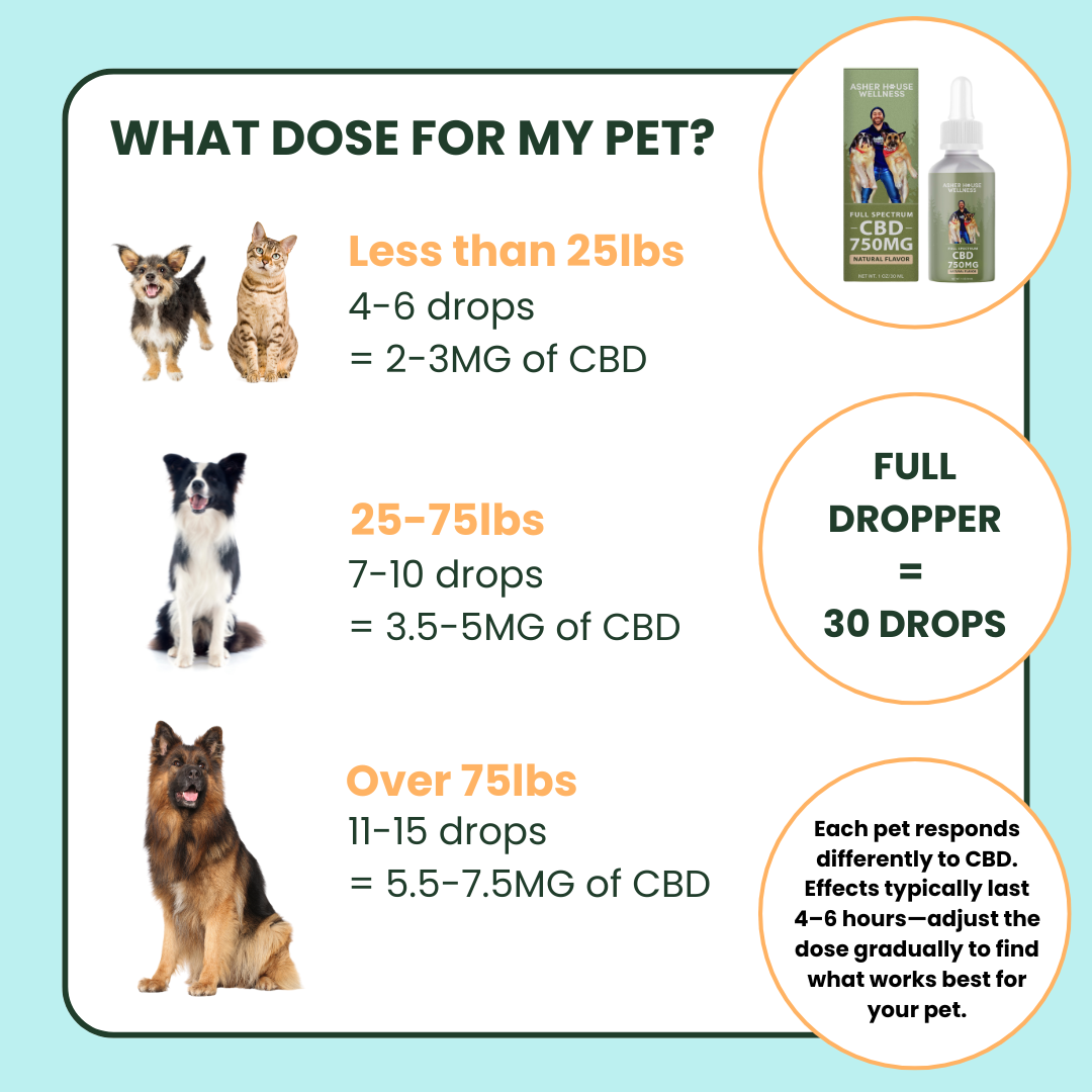 750mg CBD Oil | Calm + Comfort - for Pets