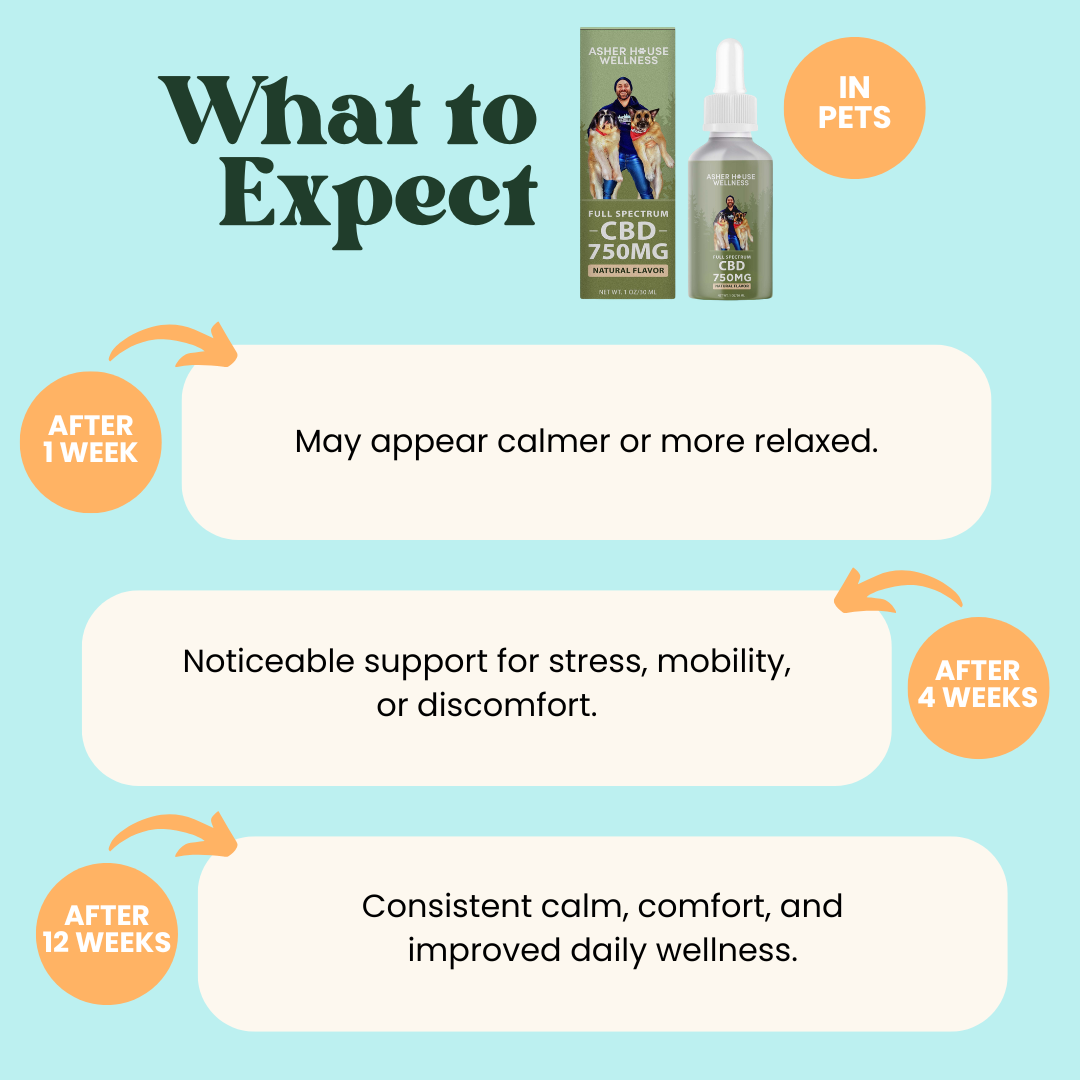 750mg CBD Oil | Calm + Comfort - for Pets