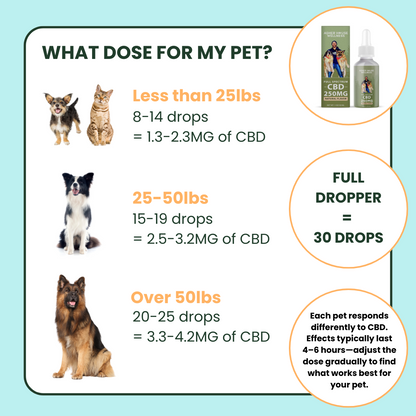 250mg CBD Oil | Calm + Comfort - for Pets