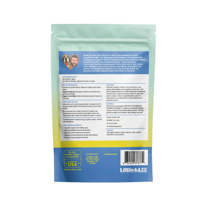 Functional Mushrooms for Dogs | Immunity & Cognition