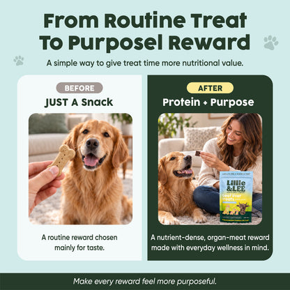 Beef Liver Treats | Protein + Power