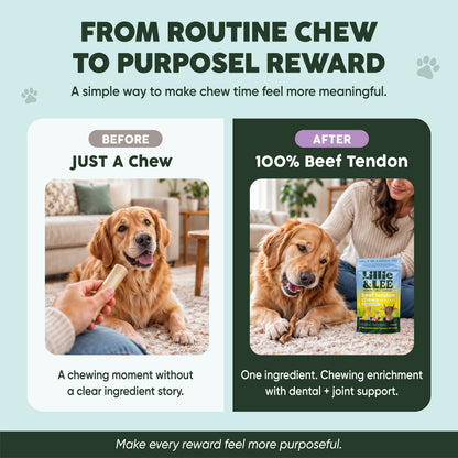 Beef Tendon Chews | Dental + Joint