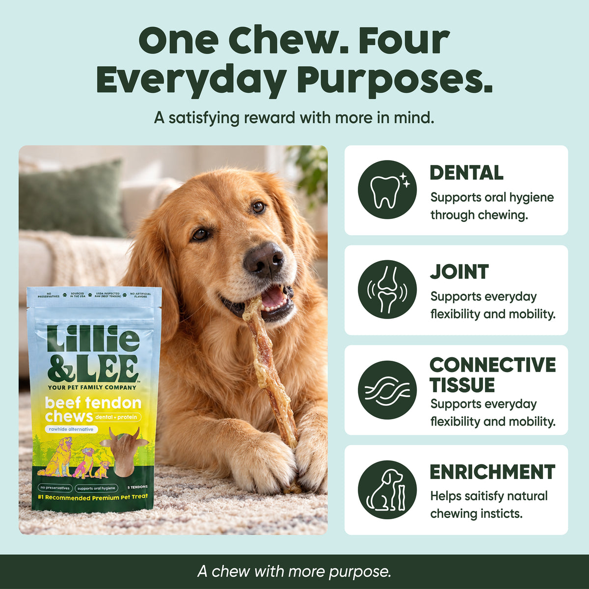 Beef Tendon Chews | Dental + Joint