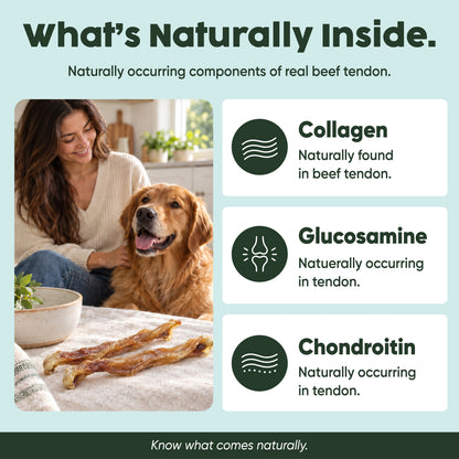 Beef Tendon Chews | Dental + Joint
