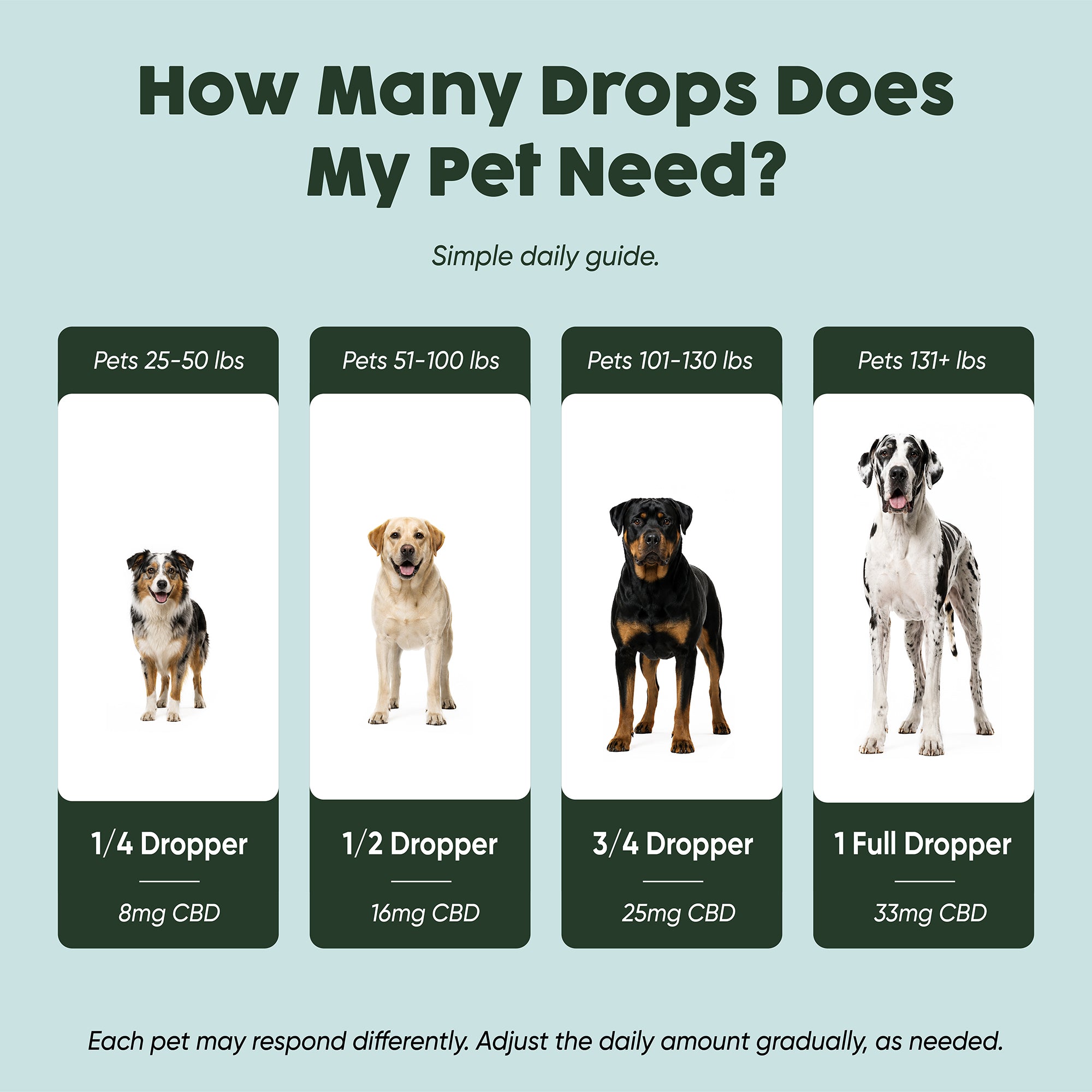 1000mg CBD Oil | Calm + Comfort - for Pets – Lillie&Lee
