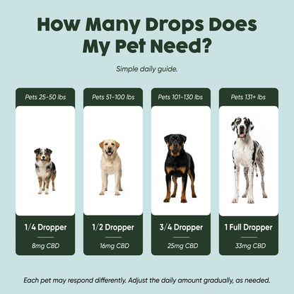 1000mg CBD Oil | Calm + Comfort - for Pets