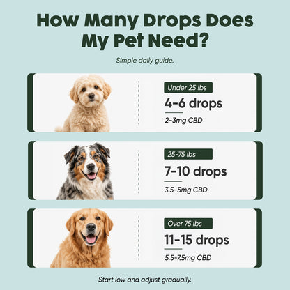 750mg CBD Oil | Calm + Comfort - for Pets