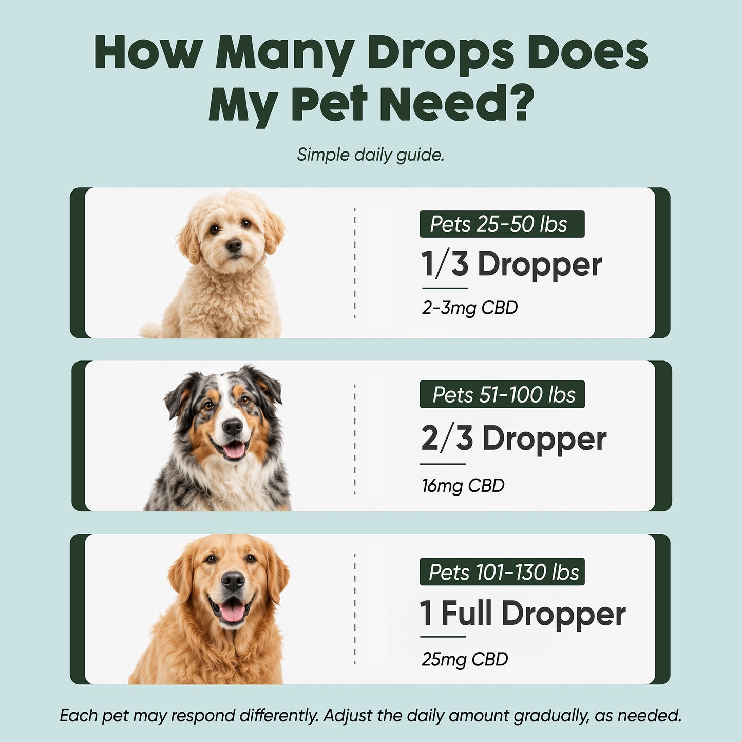 750mg CBD Oil | Calm + Comfort - for Pets