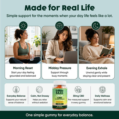 The Calm, Clear & Cozy Bundle