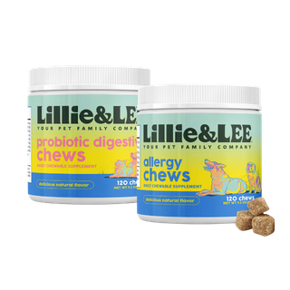 Allergy + Probiotic - Allergy support bundle