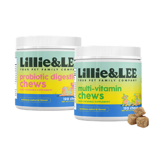 Multivitamin + Probiotic - Everyday Health Bundle