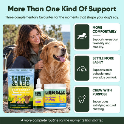 Lee's Favorites Bundle