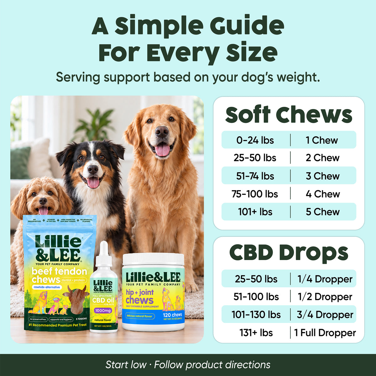 Lee's Favorites Bundle