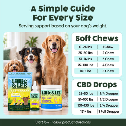 Lee's Favorites Bundle