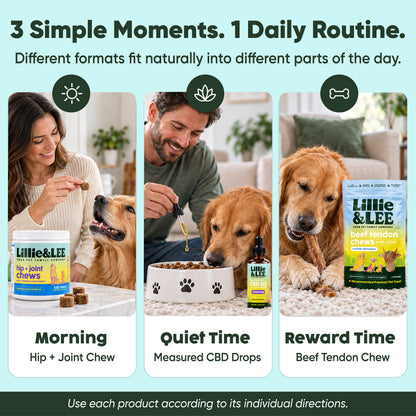 Lee's Favorites Bundle