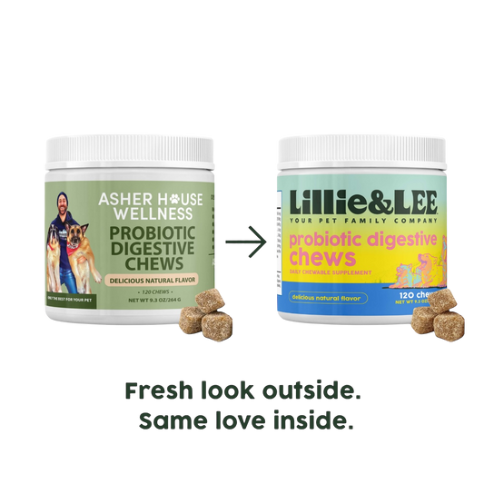 Probiotic Digestive Chews | Flora + Flourish