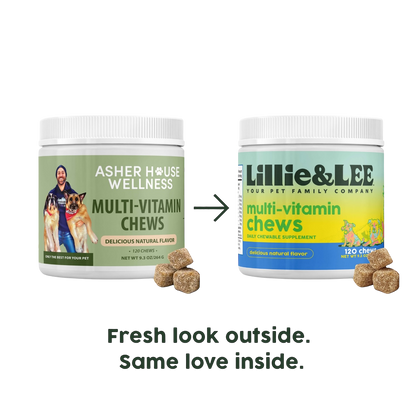 Multi-Vitamin Chews | Energy + Defense