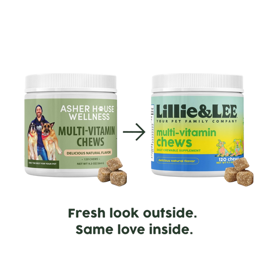 Multi-Vitamin Chews | Energy + Defense