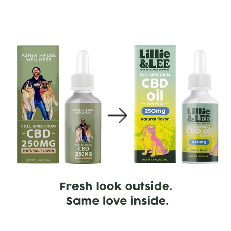 250mg CBD Oil | Calm + Comfort - for Pets – Lillie&Lee