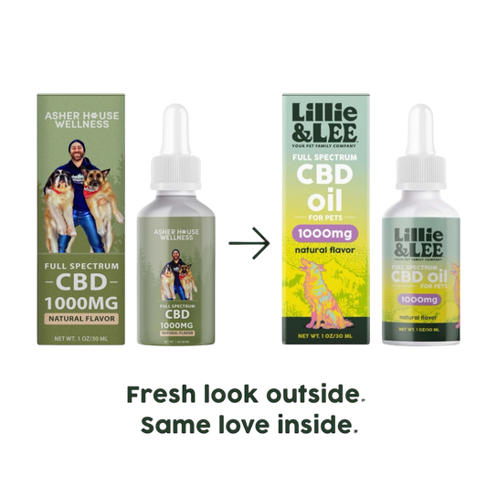 1000mg CBD Oil | Calm + Comfort - for Pets