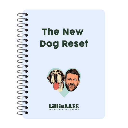 The New Dog Reset