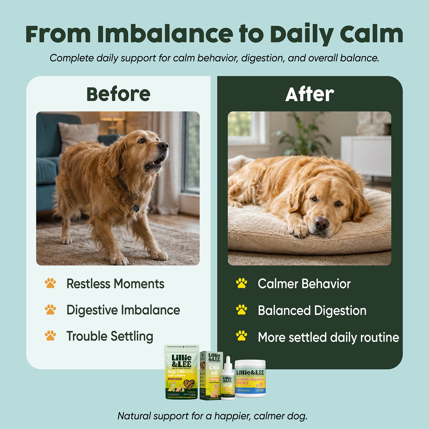 The Calm & Happy Dog Bundle