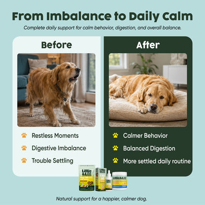 The Calm & Happy Dog Bundle