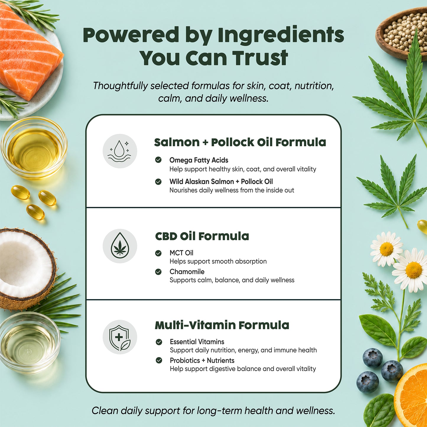 The Vitality & Longevity Bundle