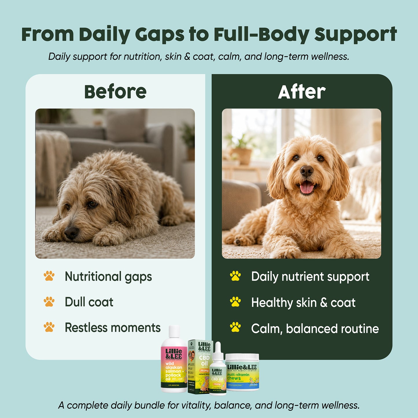 The Vitality & Longevity Bundle
