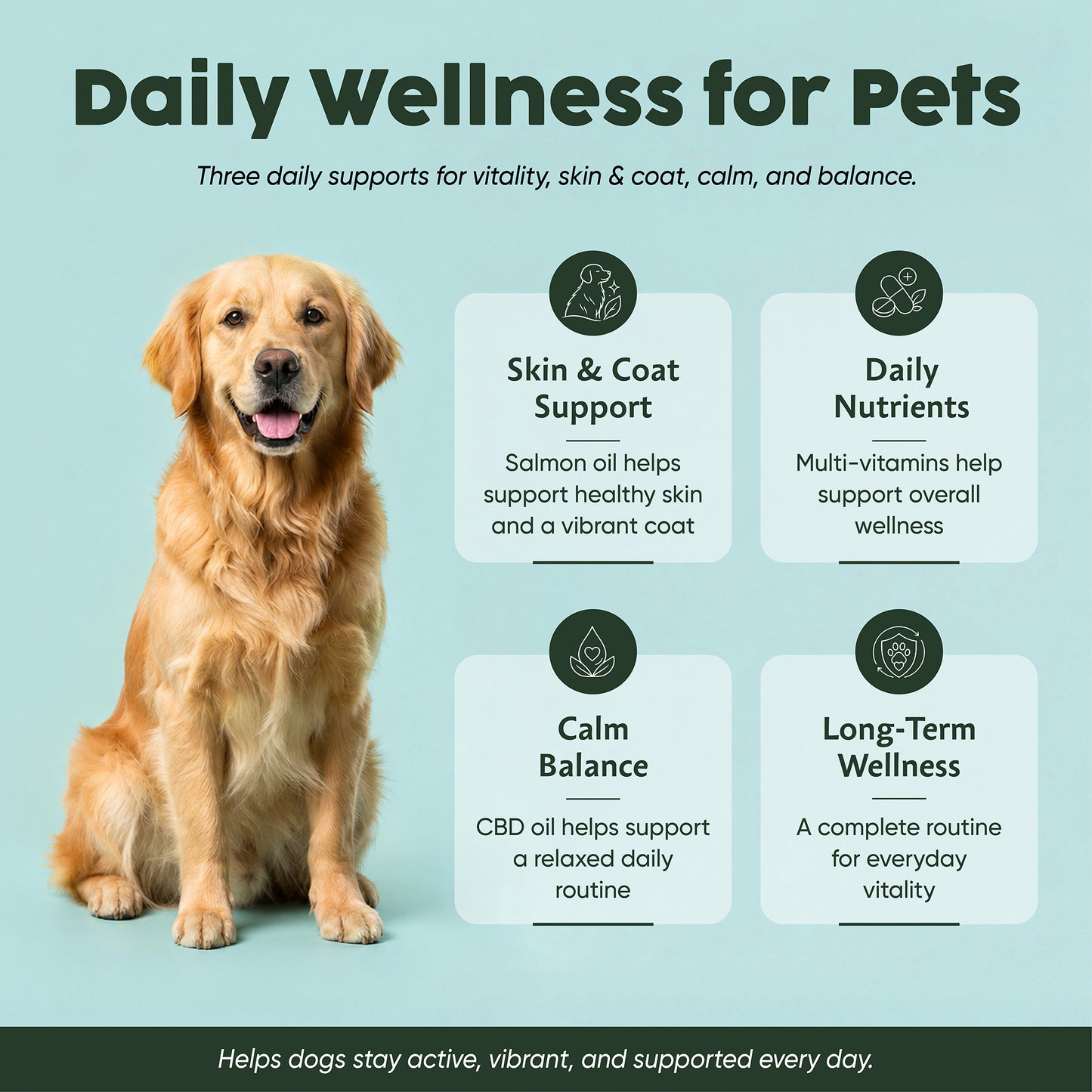 The Vitality & Longevity Bundle