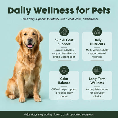 The Vitality & Longevity Bundle