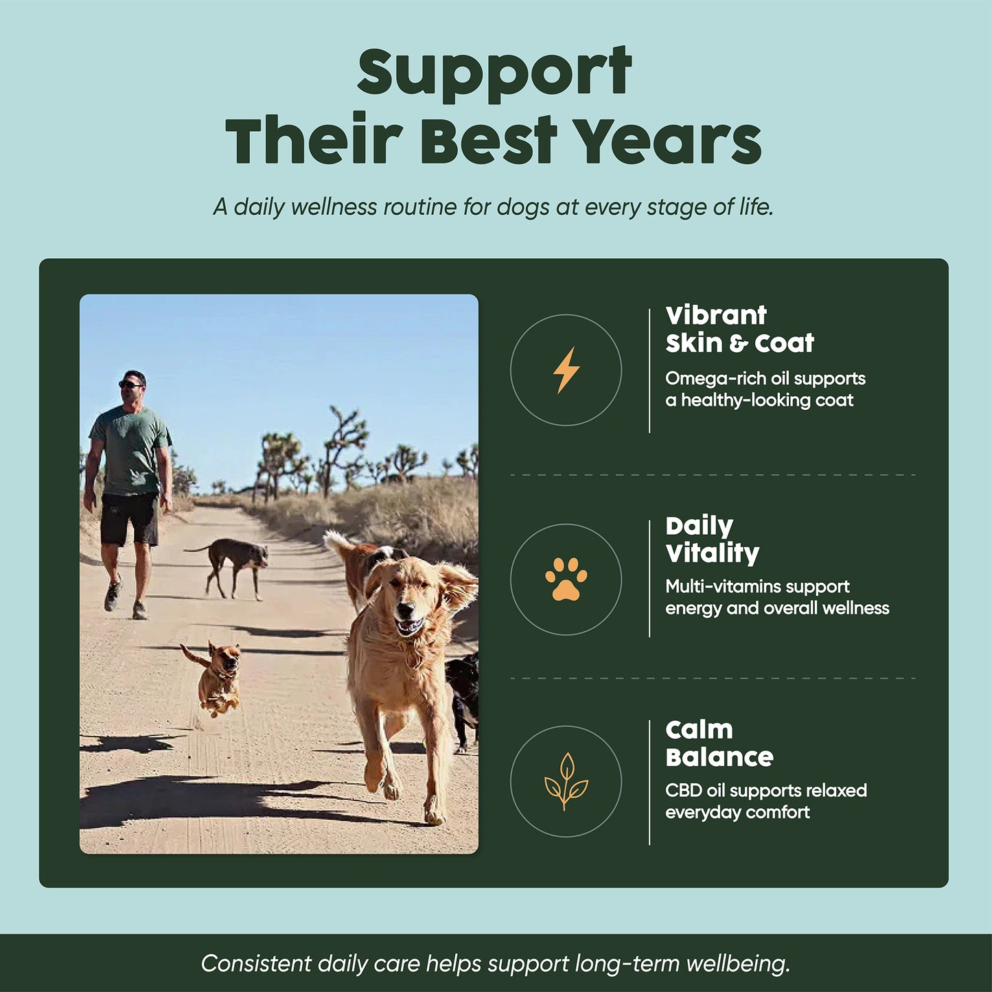 The Vitality & Longevity Bundle