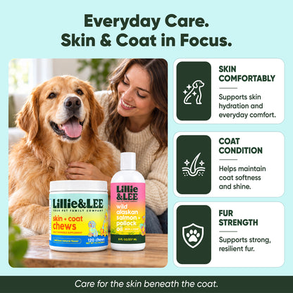 The Skin & Coat Bundle