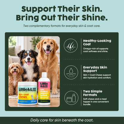 The Skin & Coat Bundle