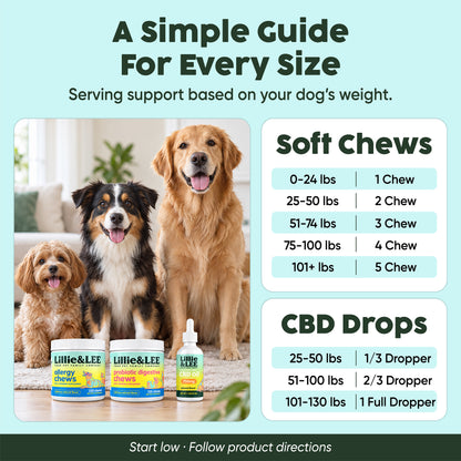 The Top Sellers Bundle - for Pets