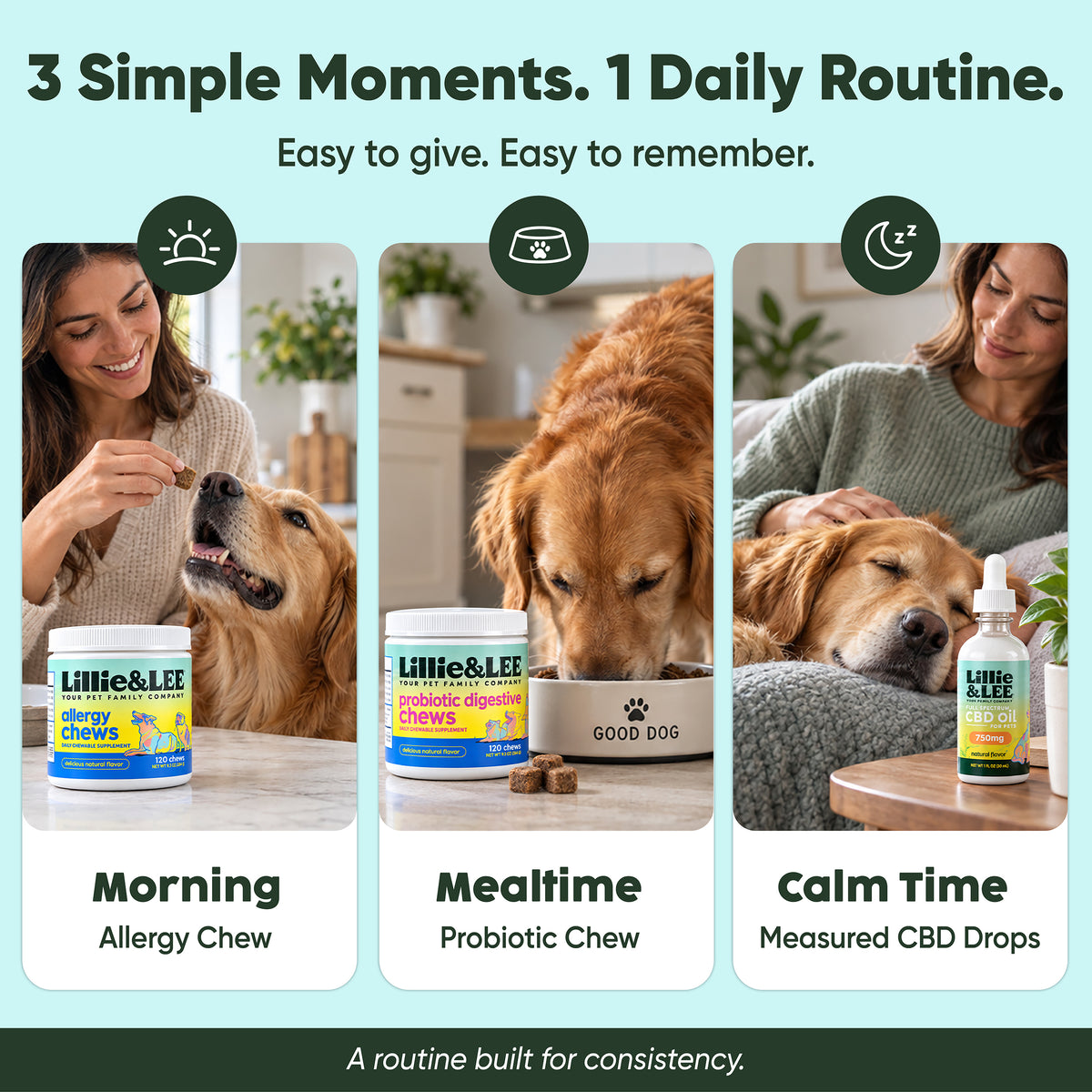 The Top Sellers Bundle - for Pets