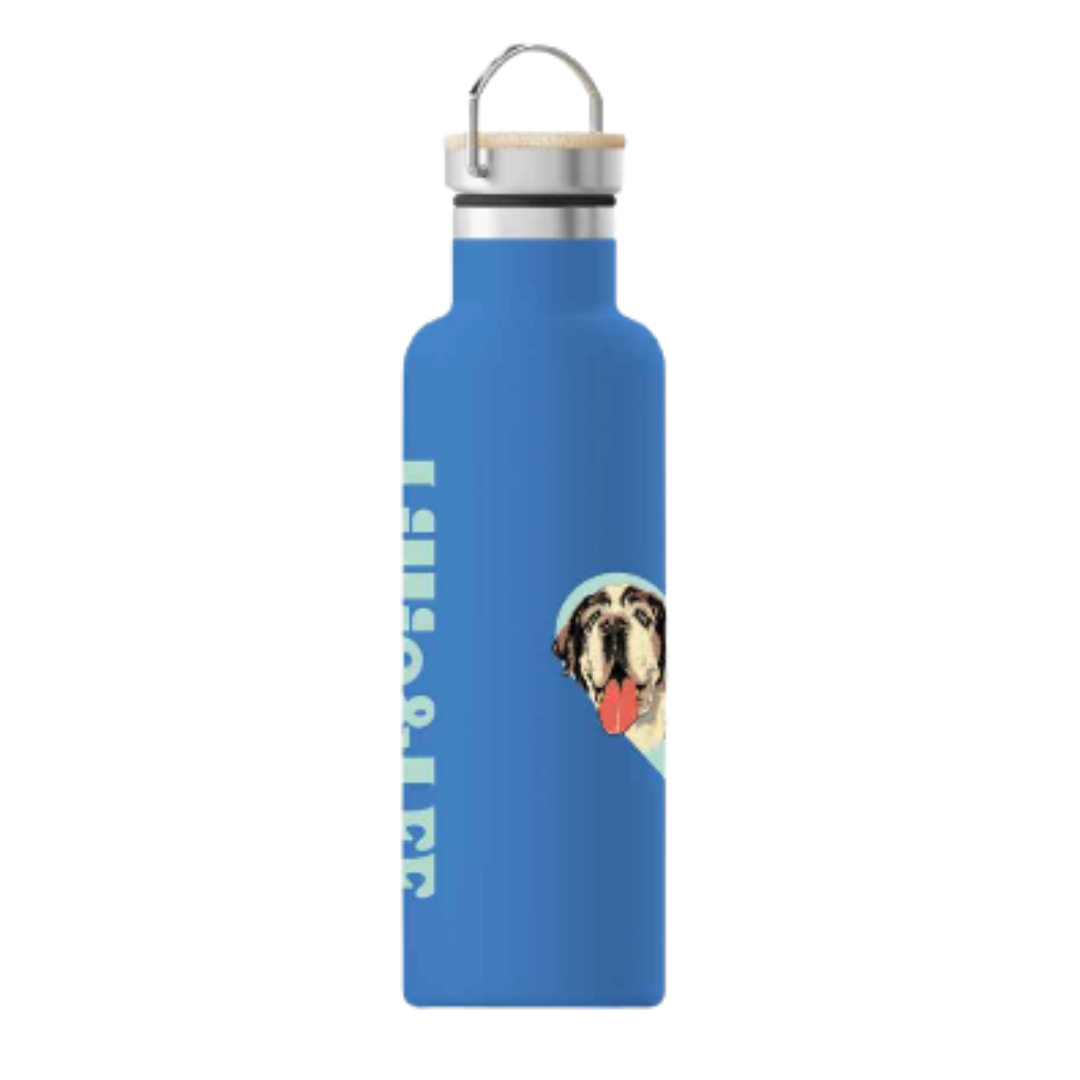 Stainless Steel Water Bottle