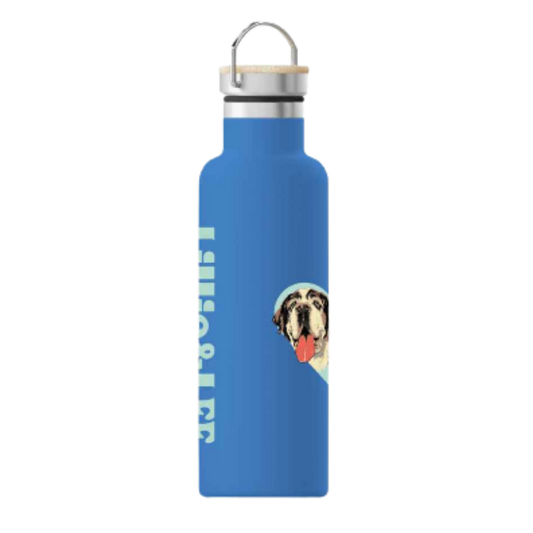 Stainless Steel Water Bottle