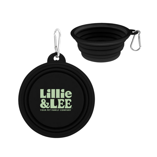 Collapsible Pet Bowl - Free Gift