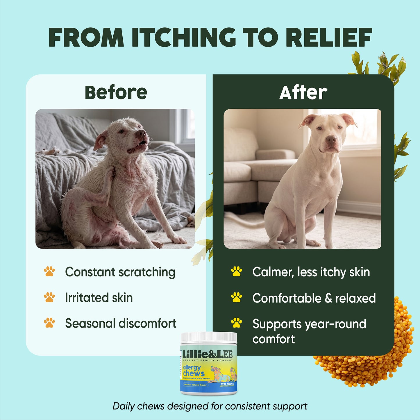 Allergy Chews | Soothe + Shield