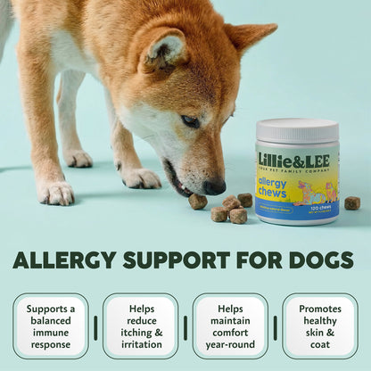 Allergy Chews | Soothe + Shield
