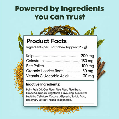Allergy Chews | Soothe + Shield