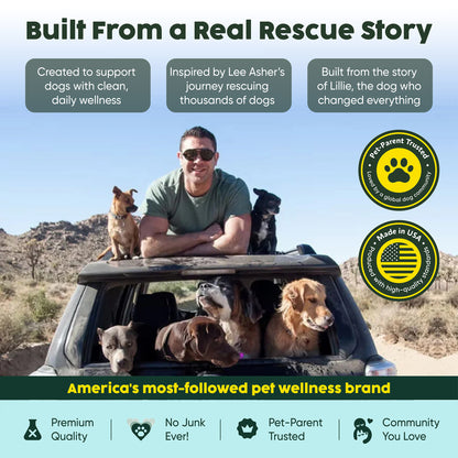 Allergy Chews | Soothe + Shield