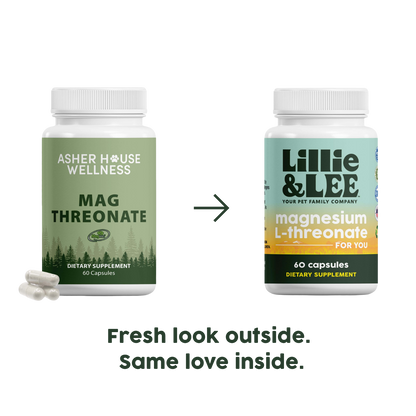 Mag Threonate | Mind + Restore